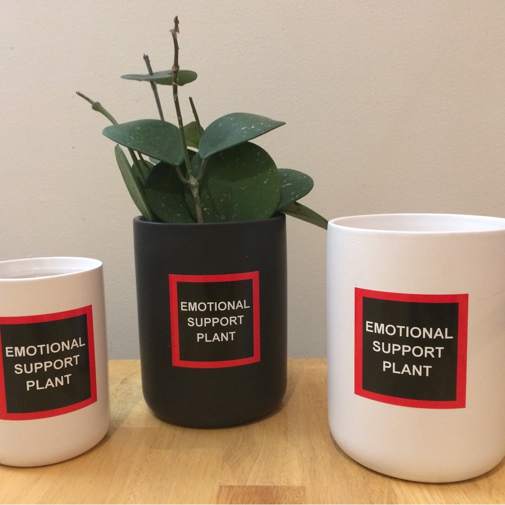 Emotional Support Plant sticker! - Picture 10 of 10